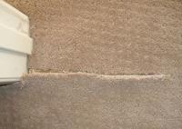 Squeaky Carpet Repair Canberra image 3